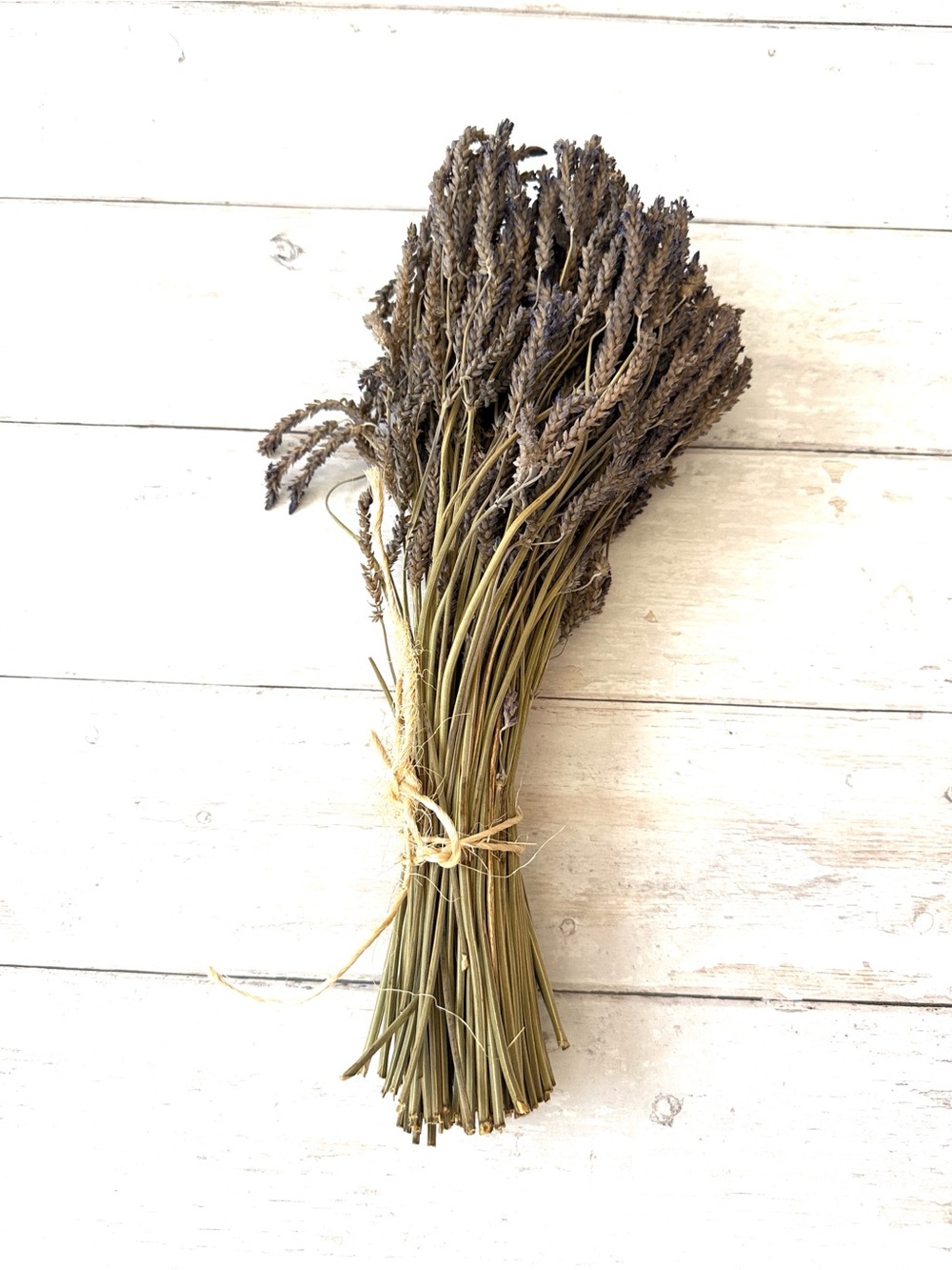 Bouquet of Organic Dried Lavender Flowers Garden Grown
